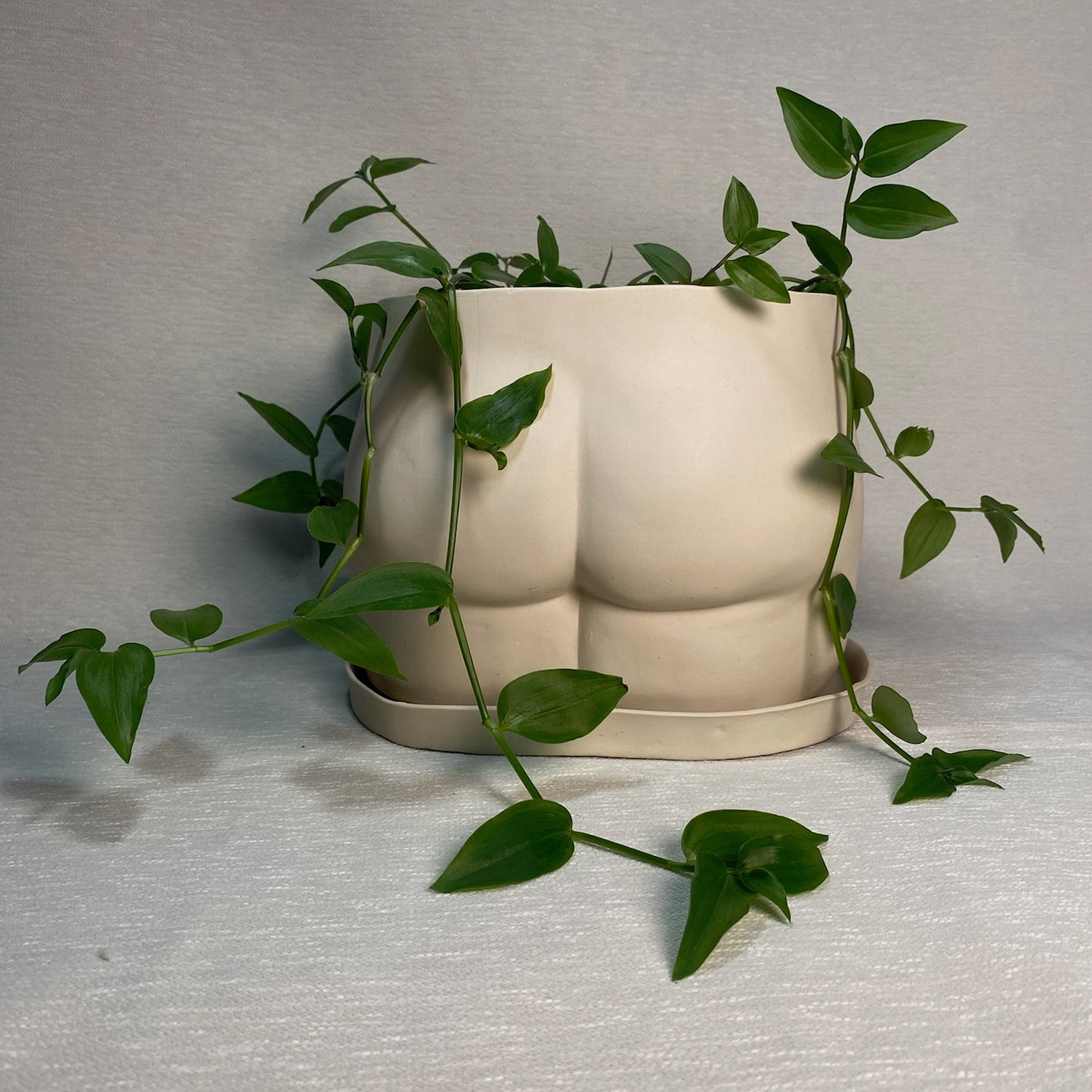 Pot XL