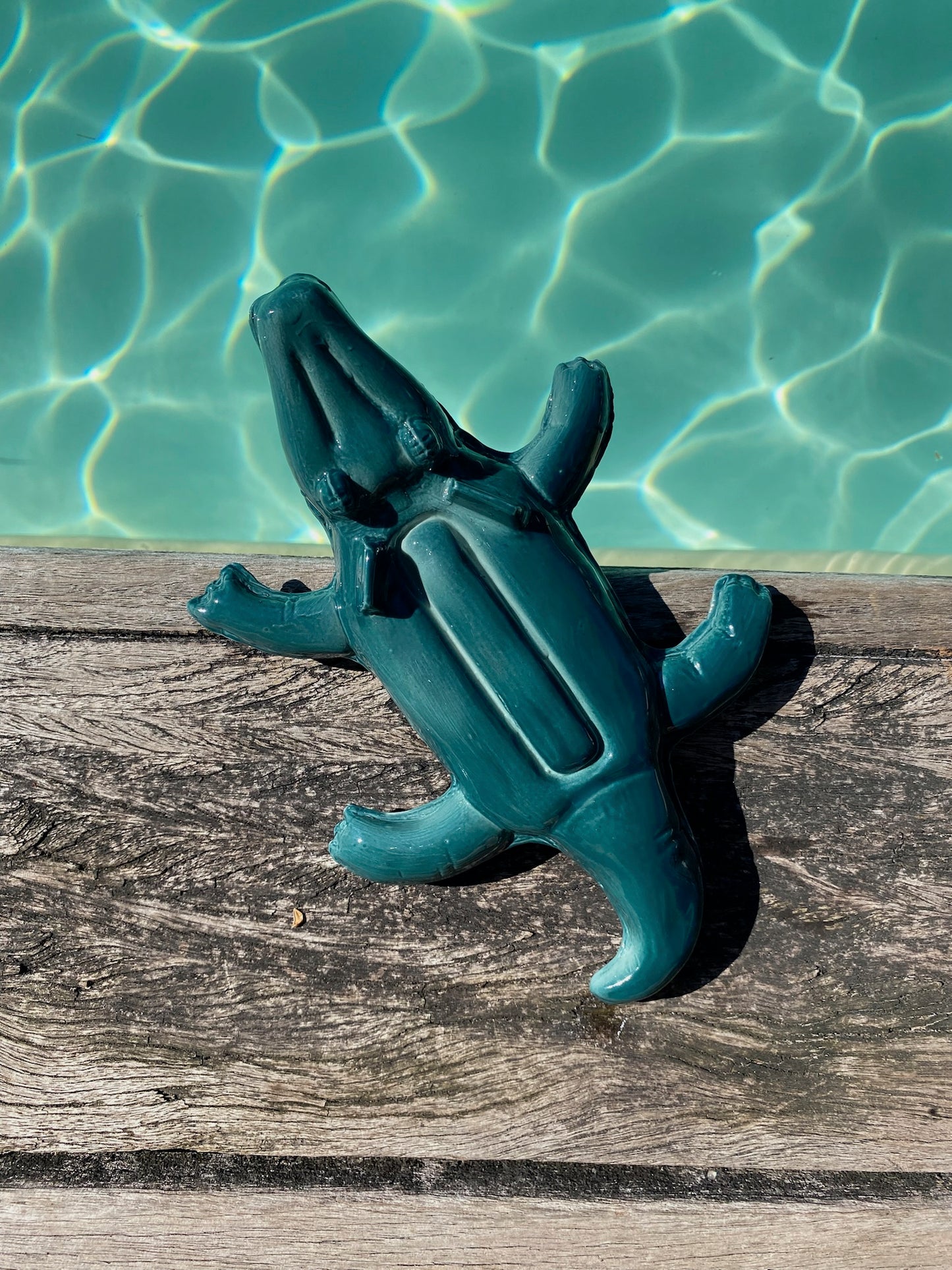Petit Vase Mural Bouée Crocodile
