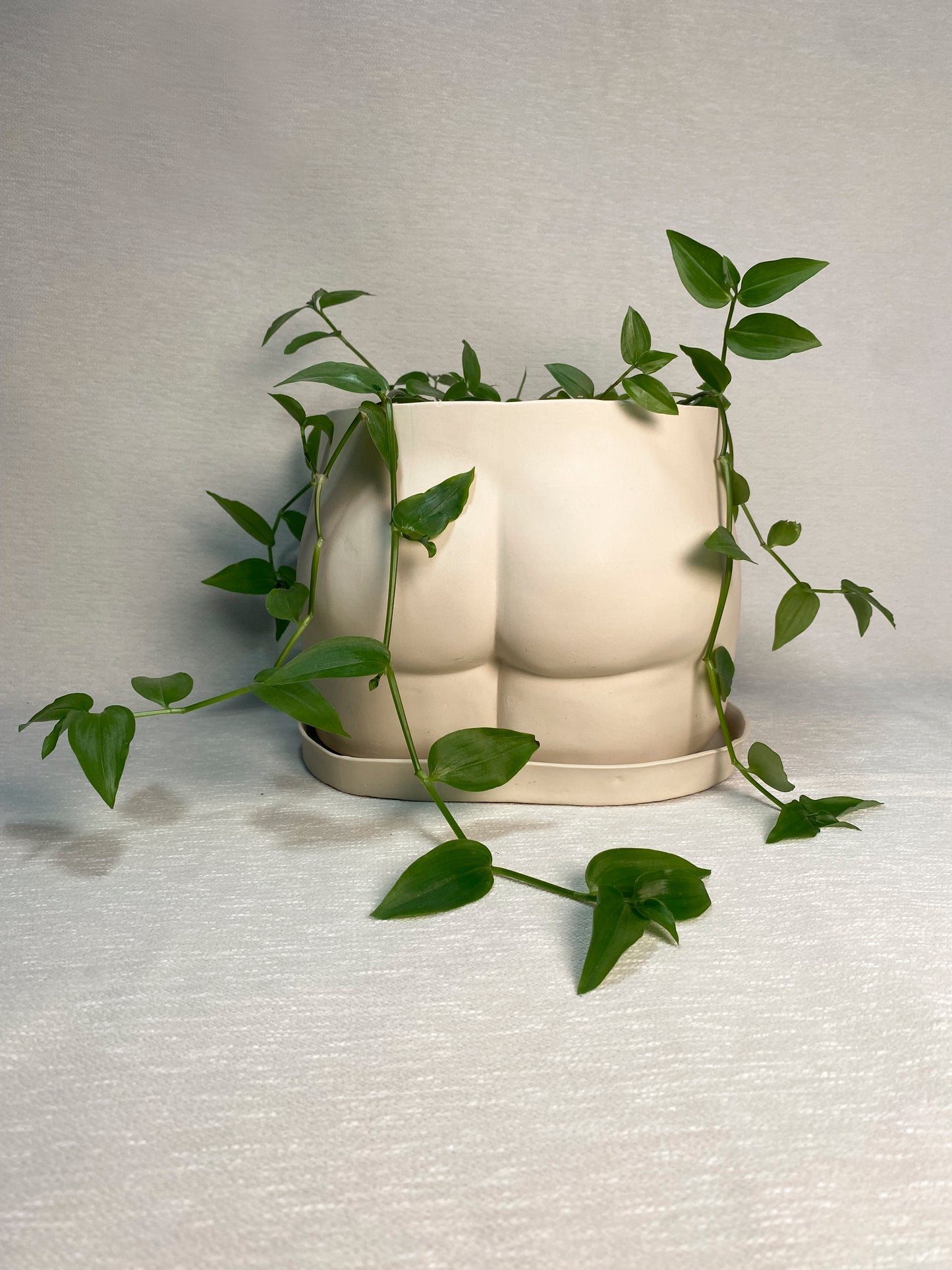 Pot XL